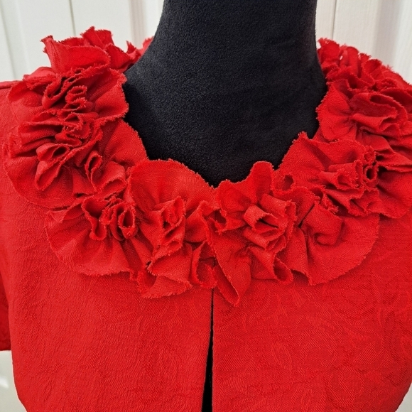 Danny & Nicole Red Textured Cropped Shrug Size 4P - Picture 2 of 9